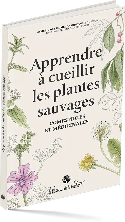 Couverture du Livre le Chemin de la Nature