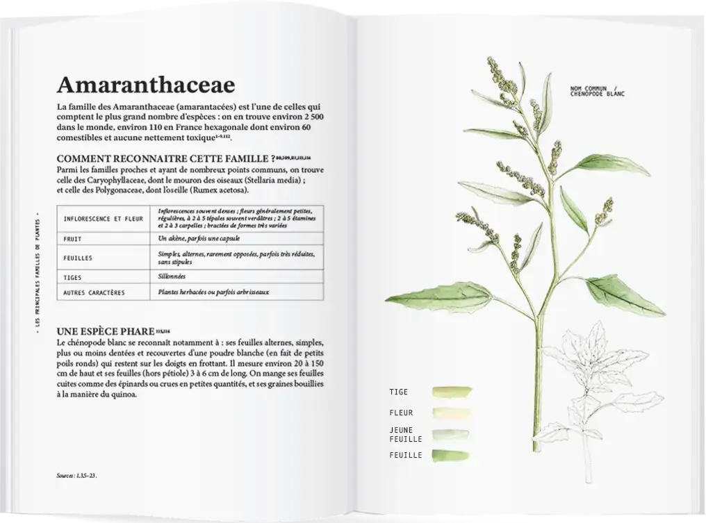 Extrait du livre