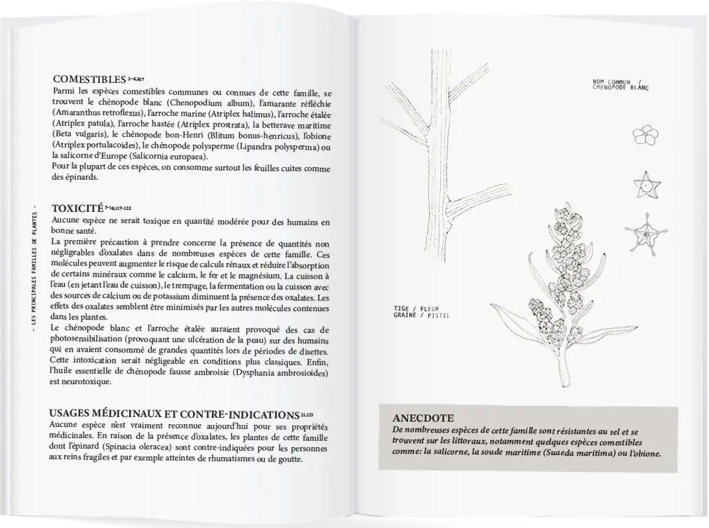 Extrait du livre